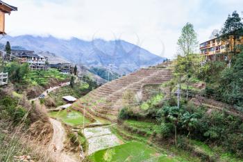 travel to China - view of Dazhai village in area Longsheng Rice Terraces (Dragon's Backbone terrace, Longji Rice Terraces) country in spring day