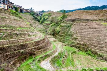 travel to China - view of terraced area in Dazhai village in country of Longsheng Rice Terraces (Dragon's Backbone terrace, Longji Rice Terraces) in spring