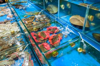 Travel to China - crabs and crayfishes on Huangsha Aquatic Product Trading Market in Guangzhou city in spring season
