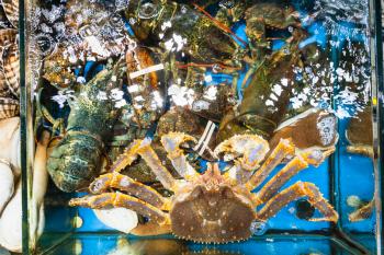Travel to China - top view of crab, langustas in Huangsha Aquatic Product Trading Market in Guangzhou city in spring season