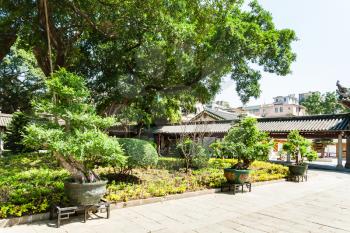 GUANGZHOU, CHINA - APRIL 1, 2017: bonsai in court of Guangxiao Temple (Bright Obedience, Bright Filial Piety Temple). This is is one of the oldest Buddhist temples in Guangzhou city