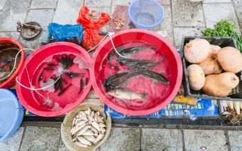 YANGSHUO, CHINA - MARCH 30, 2017: live fishes and pumpkins on street outdoor market in Yangshuo in spring. Town is resort destination for domestic and foreign tourists because of scenic karst peaks
