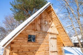 little country house decorated by natural skull of young moose in Smolensk region of Russia in winter