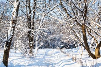 snow-covered path to urban Timiryazevskiy park in Moscow city in sunny winter day