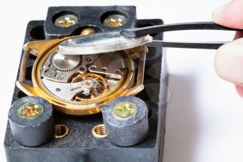 watchmaker workshop - opening back cover from old gold wristwatch fixed in holder with tweezers on white background