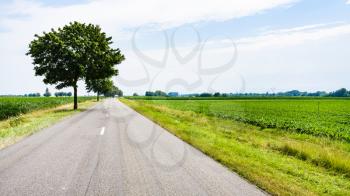 travel to France - country landscape with road route D468 near Colmar town in Alsace region in summer day