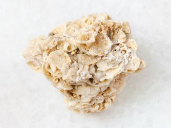 macro shooting of natural mineral rock specimen - rough coquina limestone stone on white marble background