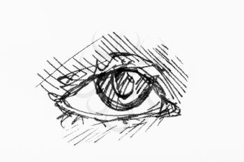 sketch of human eye hand-drawn by black ink on white paper