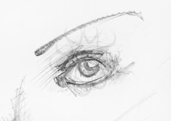 sketch of human eye and narrow eyebrow hand-drawn by black pencil on white paper