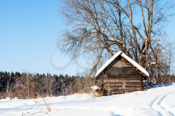 old abandoned wooden hut near forest in sunny winter day in little village in Smolensk region of Russia