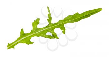fresh green leaf of Arugula (rocket, eruca, rucola) herb isolated on white background