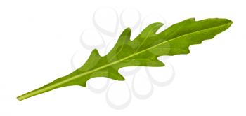 natural leaf of Arugula (rocket, eruca, rucola) herb isolated on white background