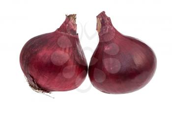 side view of two bulbs of ripe red onion isolated on white background