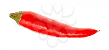single little fresh red ripe chili pepper isolated on white background