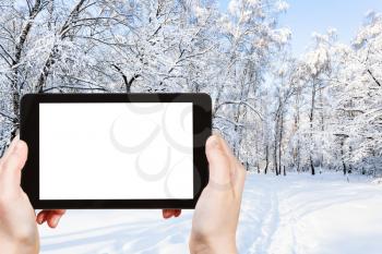 travel concept - tourist photographs of snow-covered city park in winter in Moscow city on smartphone with empty cutout screen with blank place for advertising