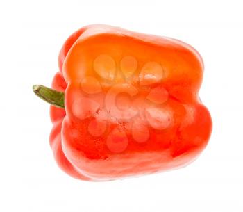 side view of ripe fruit of red bell pepper (sweet pepper, capsicum) isolated on white background