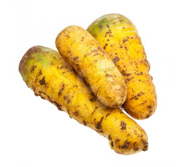 few organic uzbek yellow carrots isolated on white background