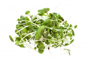 pile from twigs of fresh green mustard cress plant isolated on white background