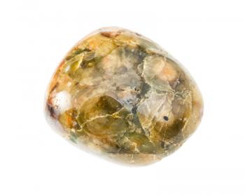 closeup of sample of natural mineral from geological collection - Orbicular green jasper gemstone isolated on white background