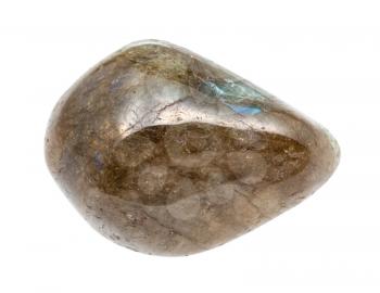 closeup of sample of natural mineral from geological collection - polished Labradorite gem stone isolated on white background