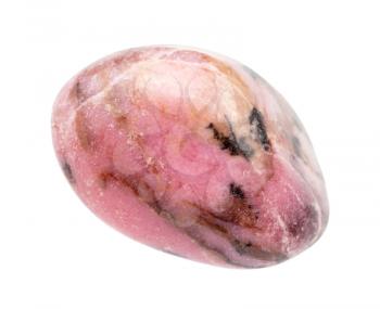 closeup of sample of natural mineral from geological collection - rolled Rhodonite gemstone isolated on white background