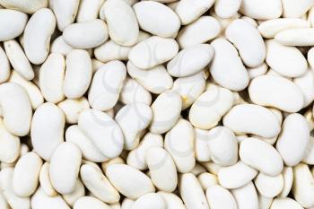 food background - many uncooked white beans