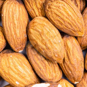 square food background - raw almond seeds close up