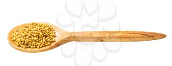 wooden spoon with yellow seeds of brassica juncea mustard isolated on white background