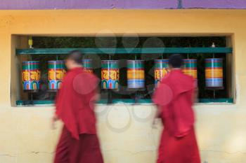 Buddhist monks passing and rotating prayer wheels on kora around Tsuglagkhang complex in McLeod Ganj, Himachal Pradesh, India