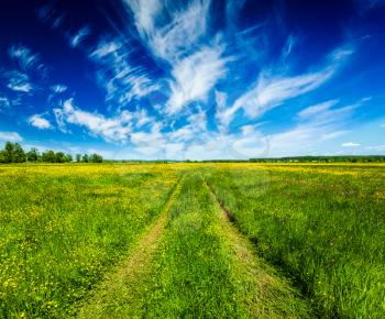 Spring summer background - rural road in  green grass field meadow scenery lanscape with blue sky