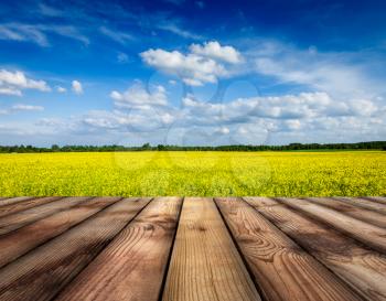 Spring summer background - yellow canola field with blue sky and wooden planks floor in front