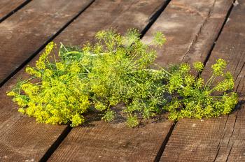 Bunch green dill on a wooden boards.