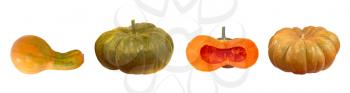 Set of different kinds of pumpkins isolated on white background.