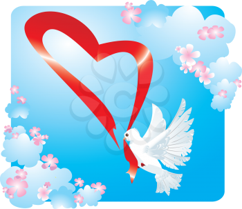 Valentine postcard with dove and heart