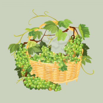 Bunches of fresh grapes in the basket isolated on beige background. Element for restaurant, bar, cafe menu or label.