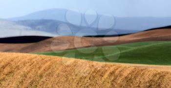 Palouse scenic Washington area farmland in spring