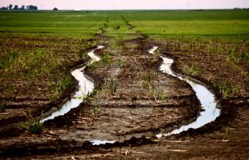 Wet tractor tire tracks in Saskatchewan Field`