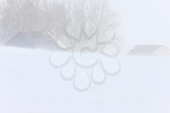 Blizzard and Farm Buildings Saskatchewan