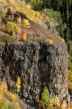 Autumn colored trees on cliff in British Columbia