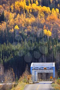 bridge and colorful trees during British Columbia autumn