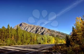 Road view of forests and mountains in Jasper National Park