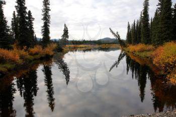Water reflections in Northern British Columbia
