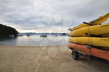 Golden Sand Beach New Zealand Abel Tasman National Park kayak