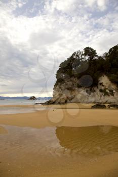Golden Sand Beach New Zealand Abel Tasman National Park