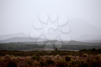 Tongariro National Park Misty foggy Day Scenic