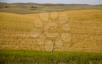 Summer Prairie Scene Canada Saskatchewan harvest time