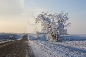 Winter Frost Saskatchewan Canada ice storm danger