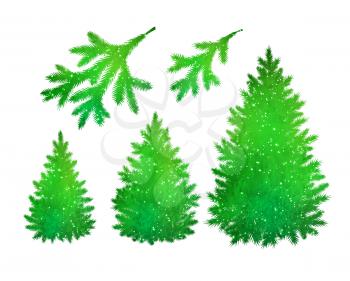 Green spruce trees and branches silhouette vector collection. 