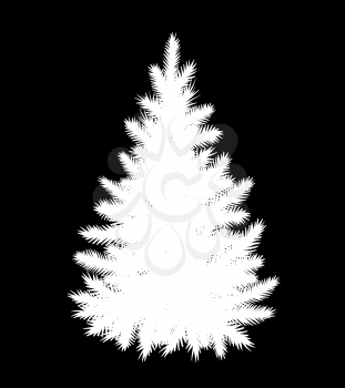 Vector illustration of white fir tree silhouette isolated on black background.