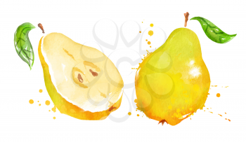 Watercolor isolated vector illustration of quince, whole and half with leaf, with paint smudges and splashes.